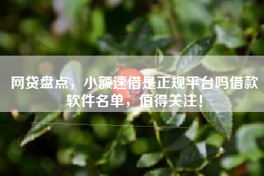 网贷盘点，小额速借是正规平台吗借款软件名单，值得关注！
