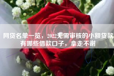 网贷名单一览，2022无需审核的小额贷款有哪些借款口子，拿走不谢