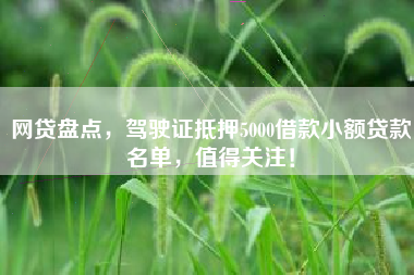 网贷盘点，驾驶证抵押5000借款小额贷款名单，值得关注！