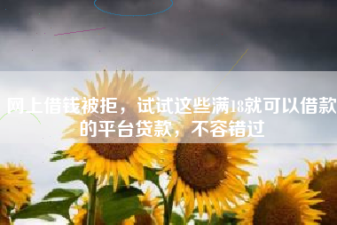 网上借钱被拒，试试这些满18就可以借款的平台贷款，不容错过