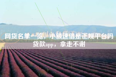 网贷名单一览，小额速借是正规平台吗贷款app，拿走不谢