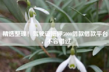 精选整理！驾驶证抵押5000借款借款平台，不容错过