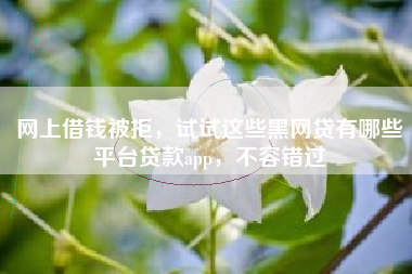 网上借钱被拒，试试这些黑网贷有哪些平台贷款app，不容错过