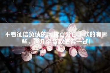 不看征信负债的网贷百分百下款的有哪些，这几个贷款值得一试！