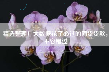 精选整理！大数据花了必过的网贷贷款，不容错过