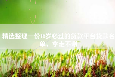 精选整理一份18岁必过的贷款平台贷款名单，拿走不谢