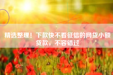 精选整理！下款快不看征信的网贷小额贷款，不容错过