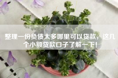 整理一份负债太多哪里可以贷款，这几个小额贷款口子了解一下！