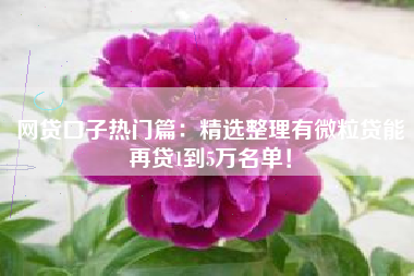 网贷口子热门篇：精选整理有微粒贷能再贷1到5万名单！