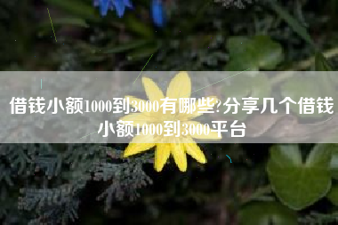 借钱小额1000到3000有哪些?分享几个借钱小额1000到3000平台