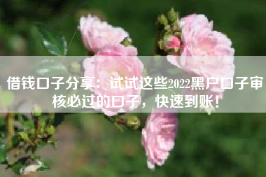 借钱口子分享：试试这些2022黑户口子审核必过的口子，快速到账！