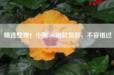 精选整理！小额500借款贷款，不容错过