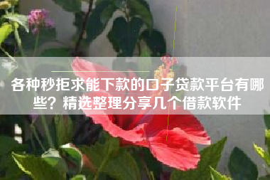 各种秒拒求能下款的口子贷款平台有哪些？精选整理分享几个借款软件