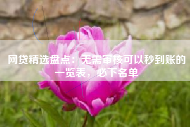 网贷精选盘点：无需审核可以秒到账的一览表，必下名单
