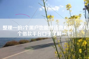整理一份5个黑户也能借钱急用的，这几个借款平台口子了解一下！