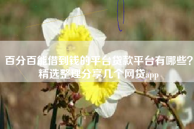 百分百能借到钱的平台贷款平台有哪些？精选整理分享几个网贷app