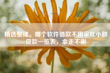精选整理，哪个软件借款不用审批小额贷款一览表，拿走不谢
