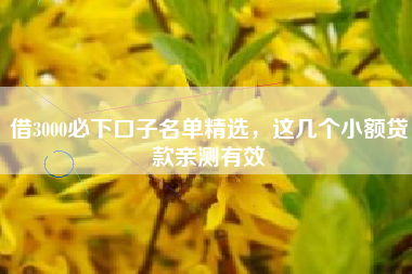 借3000必下口子名单精选，这几个小额贷款亲测有效
