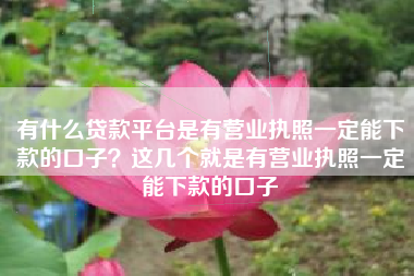有什么贷款平台是有营业执照一定能下款的口子？这几个就是有营业执照一定能下款的口子