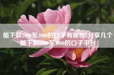 能下款2000至3000的口子有哪些?分享几个能下款2000至3000的口子平台