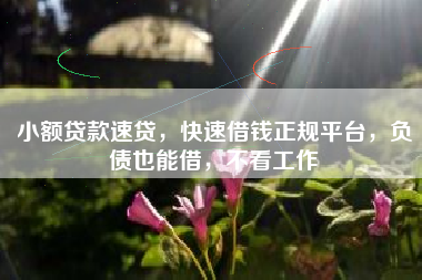 小额贷款速贷，快速借钱正规平台，负债也能借，不看工作