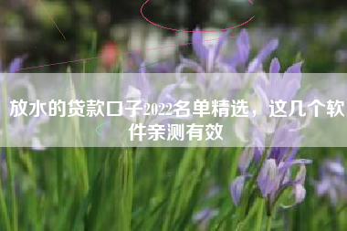 放水的贷款口子2022名单精选，这几个软件亲测有效