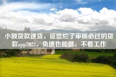 小额贷款速贷，征信烂了审核必过的贷款app2022，负债也能借，不看工作