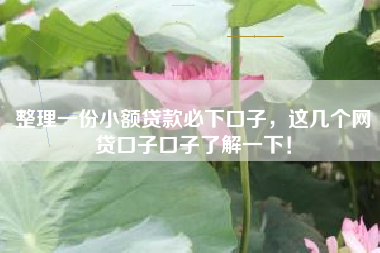 整理一份小额贷款必下口子，这几个网贷口子口子了解一下！