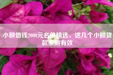 小额借钱2000元名单精选，这几个小额贷款亲测有效