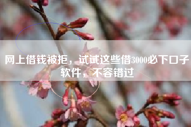 网上借钱被拒，试试这些借3000必下口子软件，不容错过