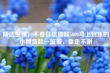 精选整理，不看征信借款5000马上到账的小额贷款一览表，拿走不谢
