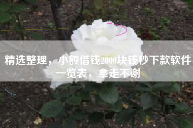 精选整理，小额借钱2000块钱秒下款软件一览表，拿走不谢