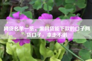网贷名单一览，黑网贷能下款的口子网贷口子，拿走不谢