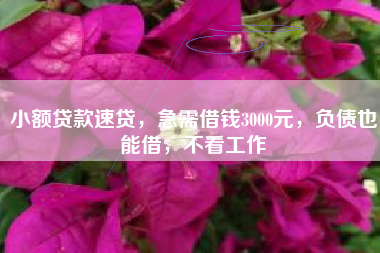 小额贷款速贷，急需借钱3000元，负债也能借，不看工作