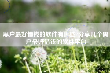 黑户最好借钱的软件有哪些?分享几个黑户最好借钱的软件平台