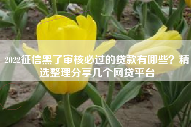 2022征信黑了审核必过的贷款有哪些？精选整理分享几个网贷平台