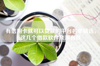 有信用卡就可以贷款的平台名单精选，这几个借款软件亲测有效