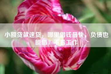 小额贷款速贷，哪里借钱最快，负债也能借，不看工作