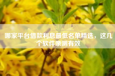 哪家平台借款利息最低名单精选，这几个软件亲测有效
