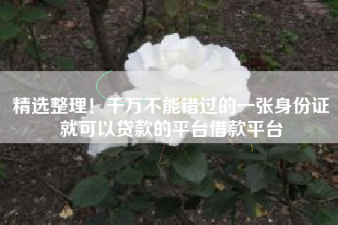 精选整理！千万不能错过的一张身份证就可以贷款的平台借款平台