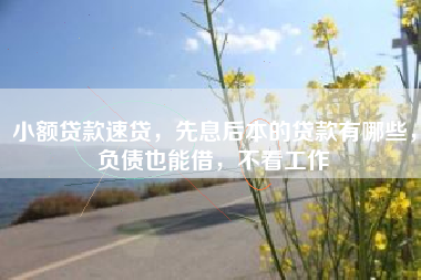 小额贷款速贷，先息后本的贷款有哪些，负债也能借，不看工作