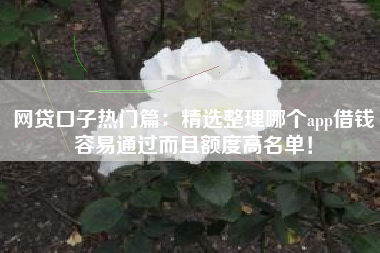 网贷口子热门篇：精选整理哪个app借钱容易通过而且额度高名单！