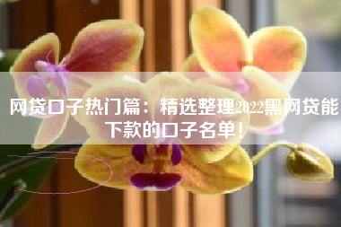 网贷口子热门篇：精选整理2022黑网贷能下款的口子名单！