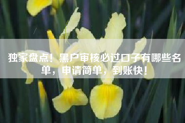 独家盘点！黑户审核必过口子有哪些名单，申请简单，到账快！