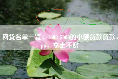 网贷名单一览，1000-5000的小额贷款贷款app，拿走不谢