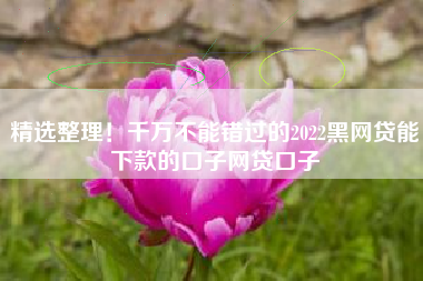 精选整理！千万不能错过的2022黑网贷能下款的口子网贷口子