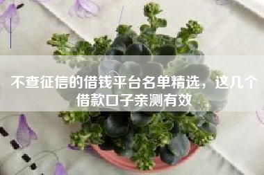 不查征信的借钱平台名单精选，这几个借款口子亲测有效