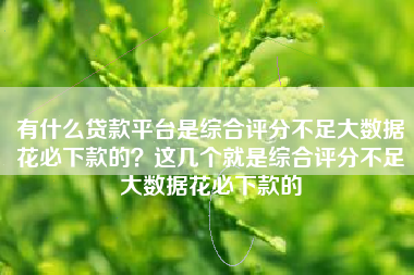 有什么贷款平台是综合评分不足大数据花必下款的？这几个就是综合评分不足大数据花必下款的