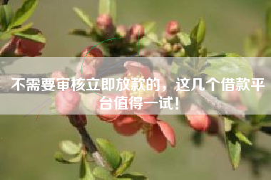 不需要审核立即放款的，这几个借款平台值得一试！