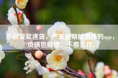 小额贷款速贷，严重逾期能借钱的app，负债也能借，不看工作